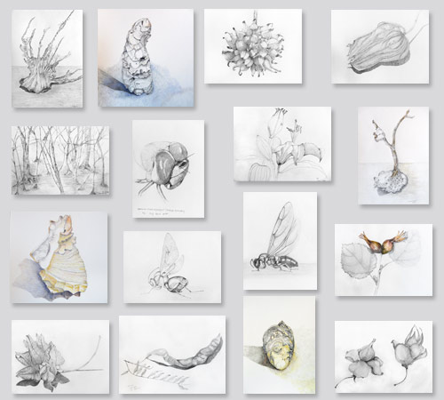 Index der to the drawings